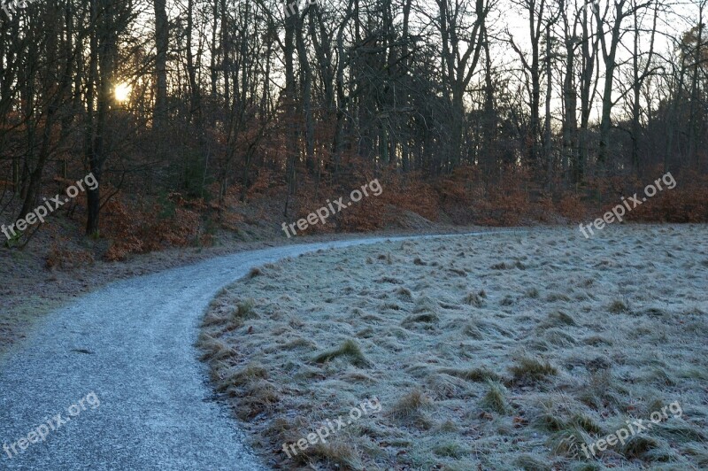 Frozen Ground Road Forest Nature