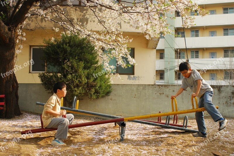 Playground Children Cherry Blossom Spring Apartments