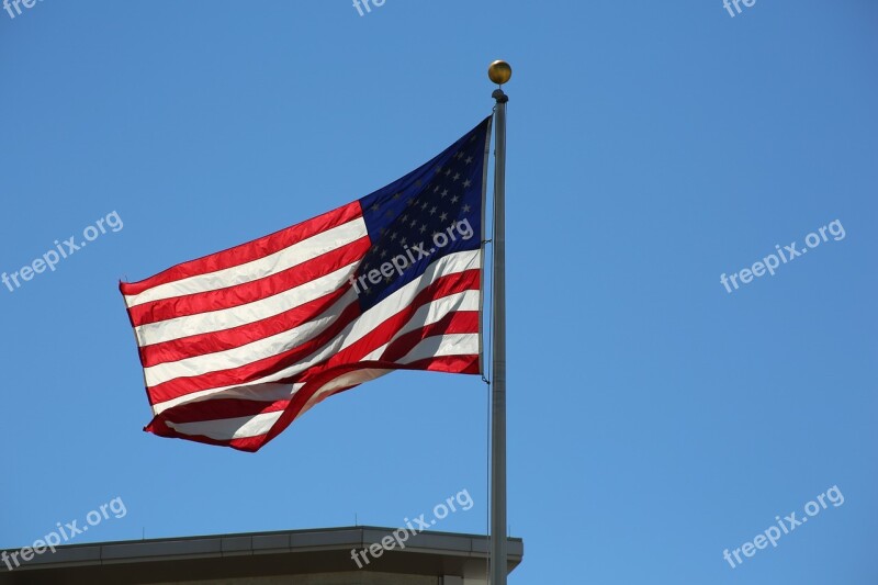 Flag Usa Patriot American Patriotic