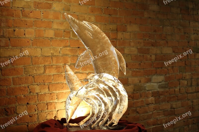 Ice Sculpture Carve Dolphin Carving