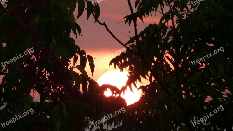 Backlighting Sunset Mood Abendstimmung Silhouette