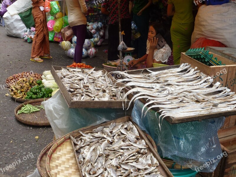 Market Traditional Asia Fish Burma