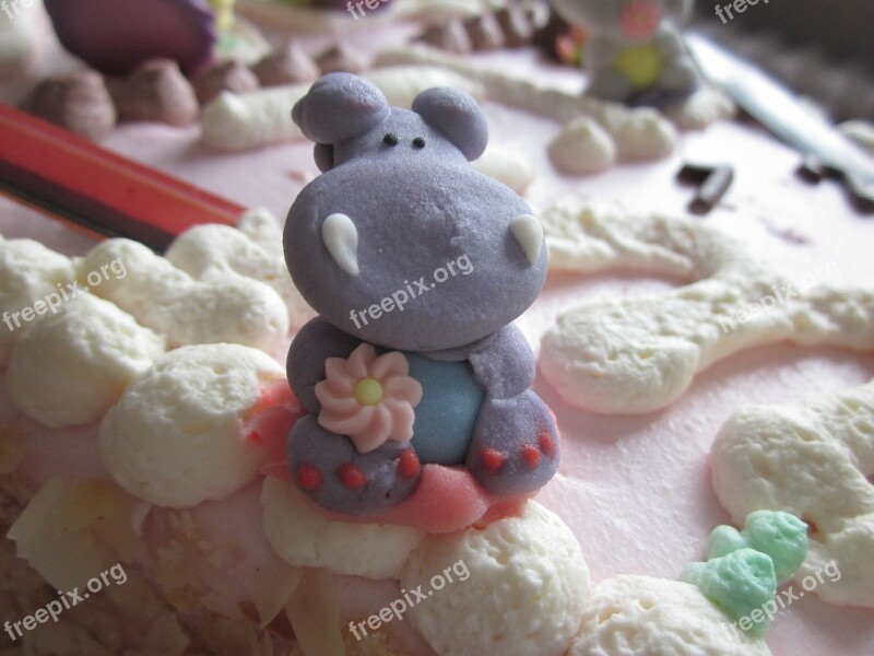 Hippopotamus Photo Birthday Cake Happy Hippo Cake