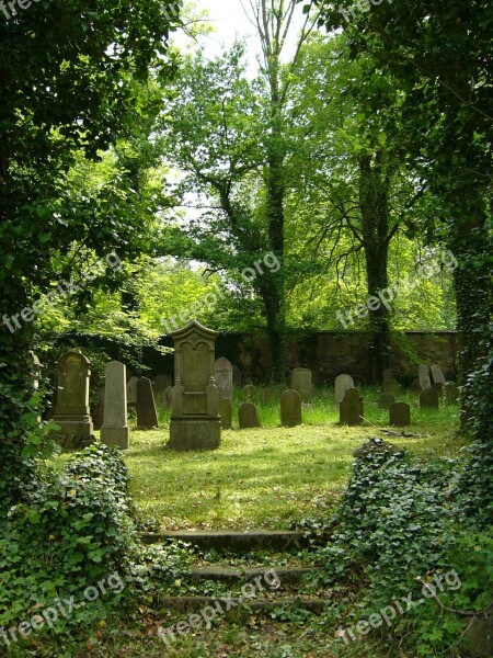 Jewish Cemetery Green Grave Stone