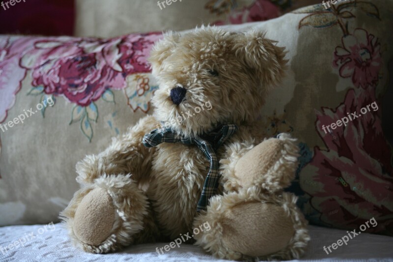 Teddy Cute Bed Toy Childhood