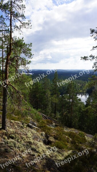 Landscape Forest The Skyline Rock Nature