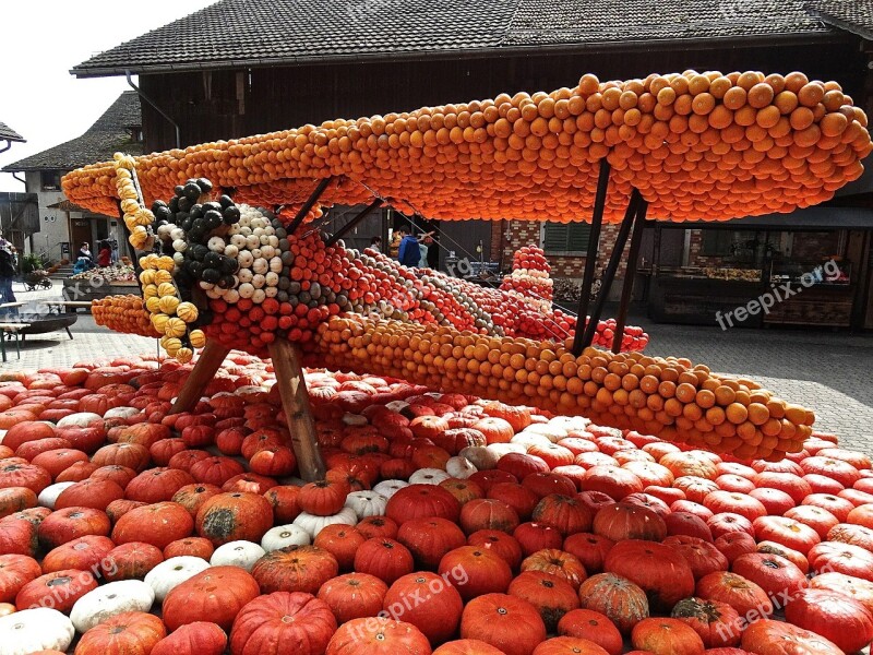 Pumpkin Gourd Decoration Autumn Motive Aircraft