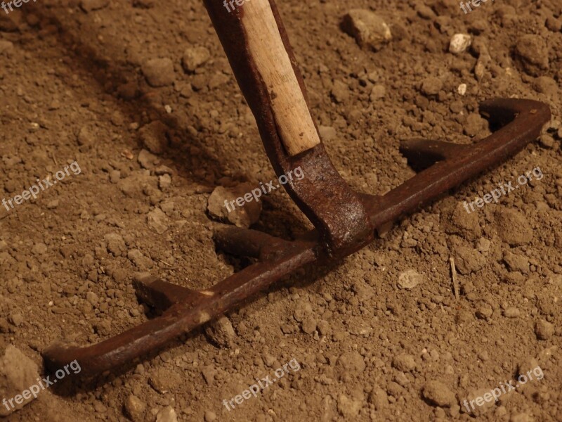 Rake Field Agriculture Dienteyerro Traditional