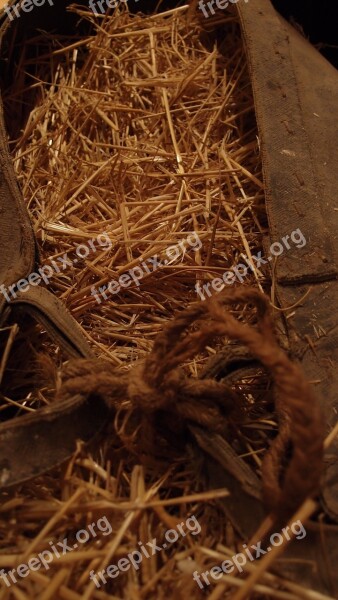 Straw Donkey Agriculture Traditional Wheat