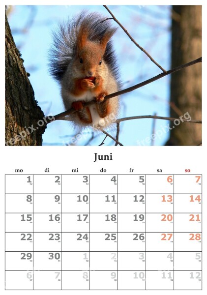 Calendar Month June June 2015 Free Photos