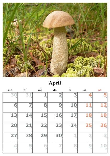 Calendar Month April April 2015 Free Photos