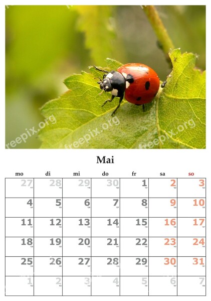 Calendar Month May May 2015 Free Photos