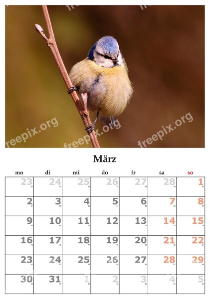 Calendar Month March March 2015 Free Photos