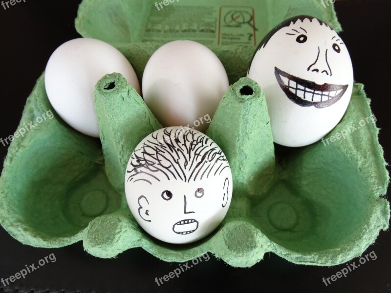 Egg Painted Faces Funny Egg Carton