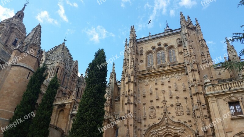 Salamanca Cathedral Heritage Monuments Free Photos