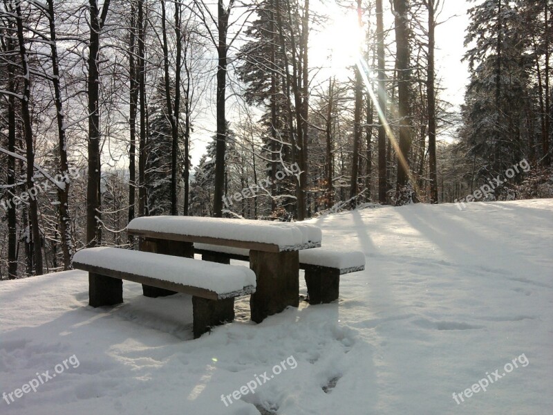 Snow Bank Picnic Forest Winter