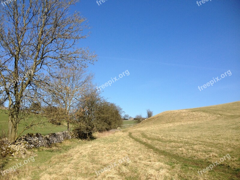 Field Track Tree Countryside Country