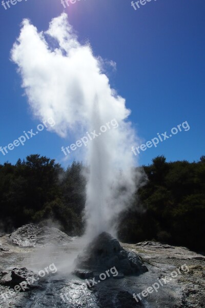 Rotorua Geyser New Zealand Detergent Hot Source