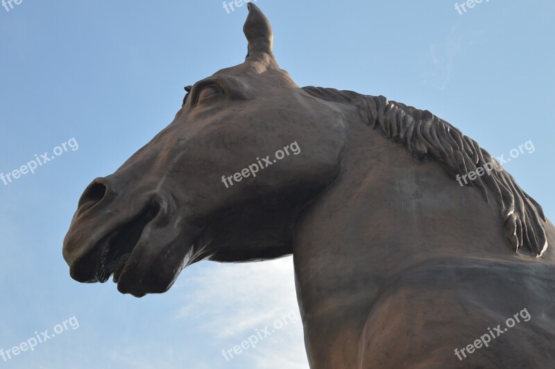 Statue Horse Animal Free Photos