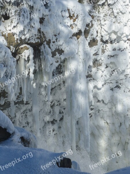 Canim Falls British Columbia Canada Frosted Tree