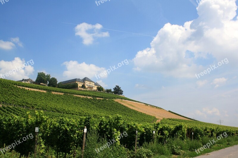 Schloss Johannisberg Vineyard Vines Winegrowing Vine