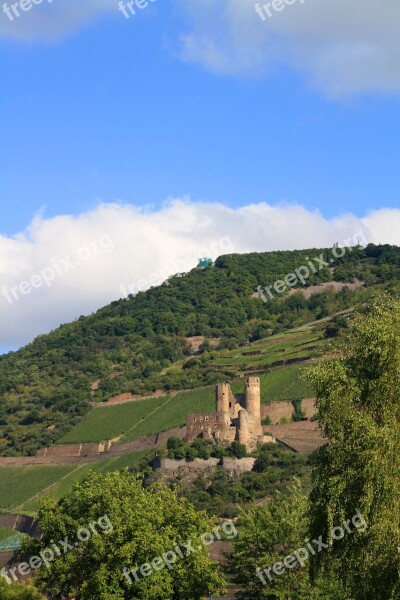 Burg Ehrenfels Vineyard Castle-bingen Landscape Free Photos