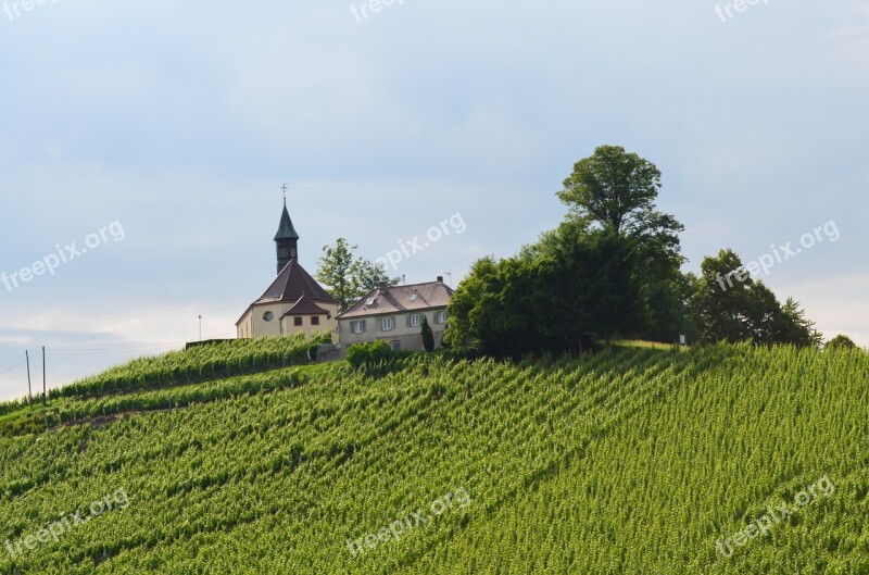 Church Mountain Vineyard Free Photos