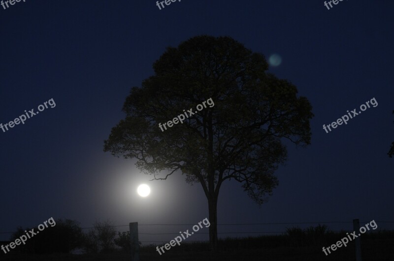 Night Nature Moon Moonlight Nocturne