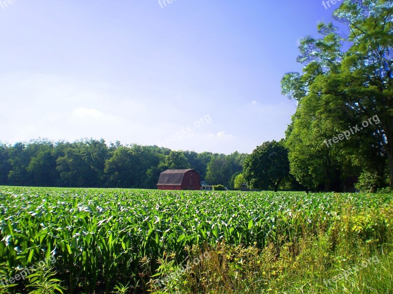 Farm Rural Cornfield Nature Agriculture