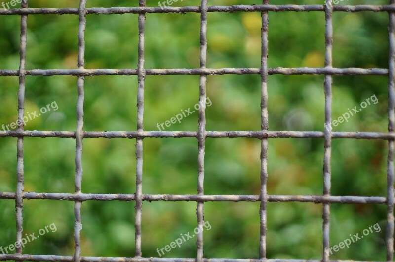 Grid Fence Iron Iron Construction Garden