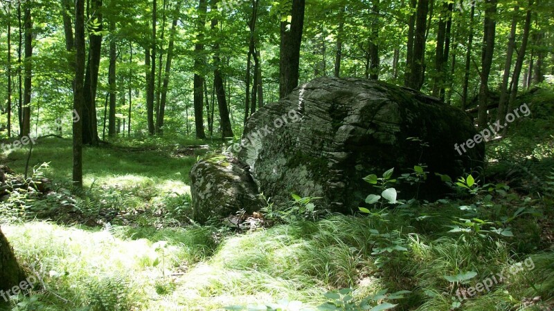 Rock Boulder Forest Woods Nature