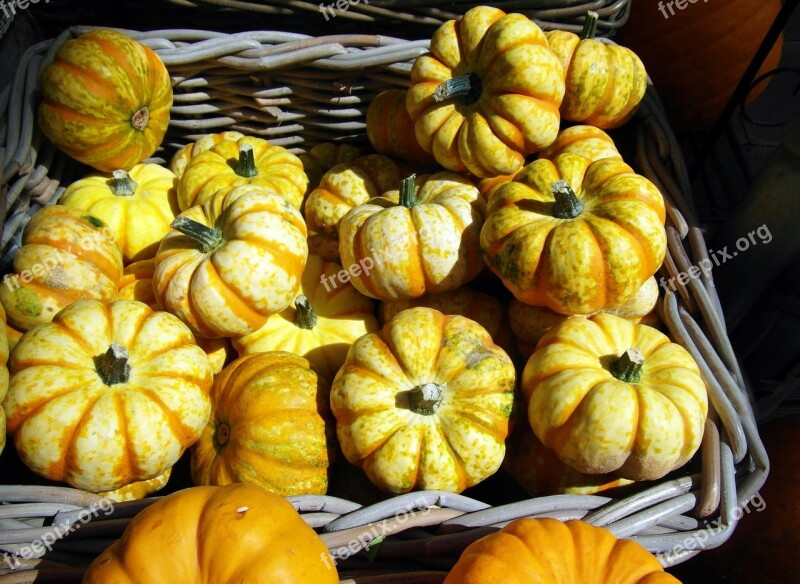 Pumpkin Gourd Yellow Autumn Decoration Autumn