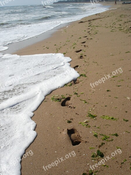 Footprints Beach Sand Seaside Sea