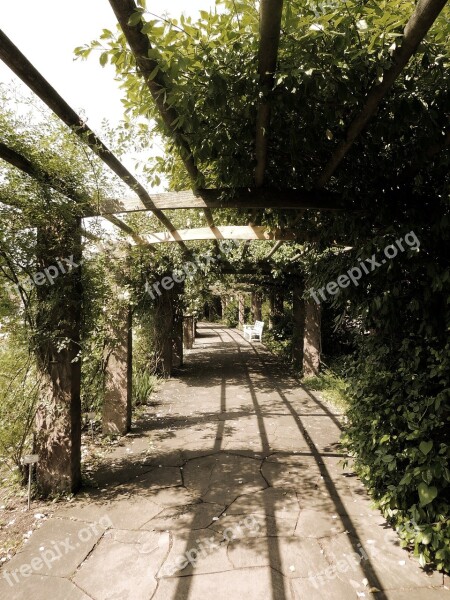 Away Gang Plant Tunnel Walk Canopy