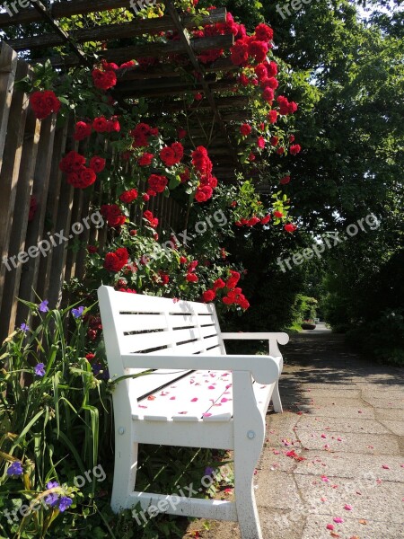 Park Bench Park Bench Bank Nature