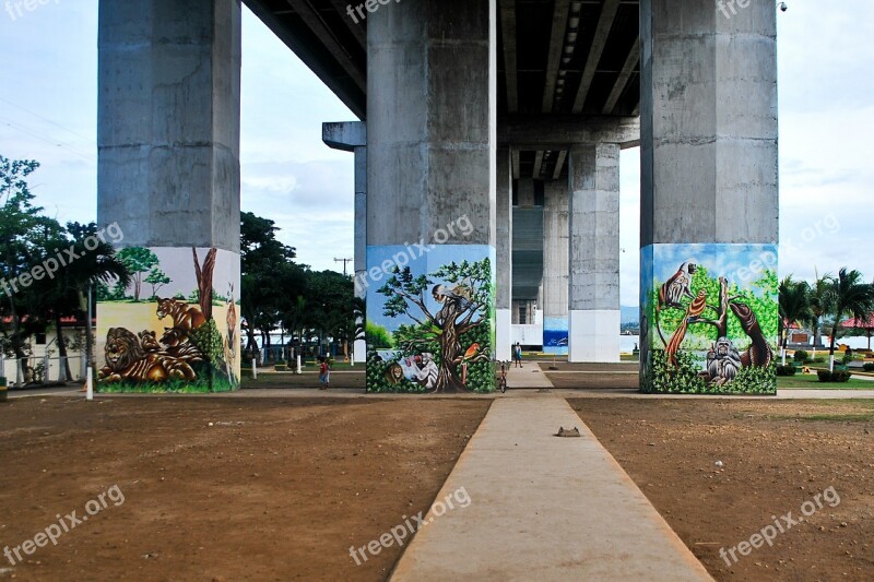 Bridge Graffiti Park Concrete Spraypaint