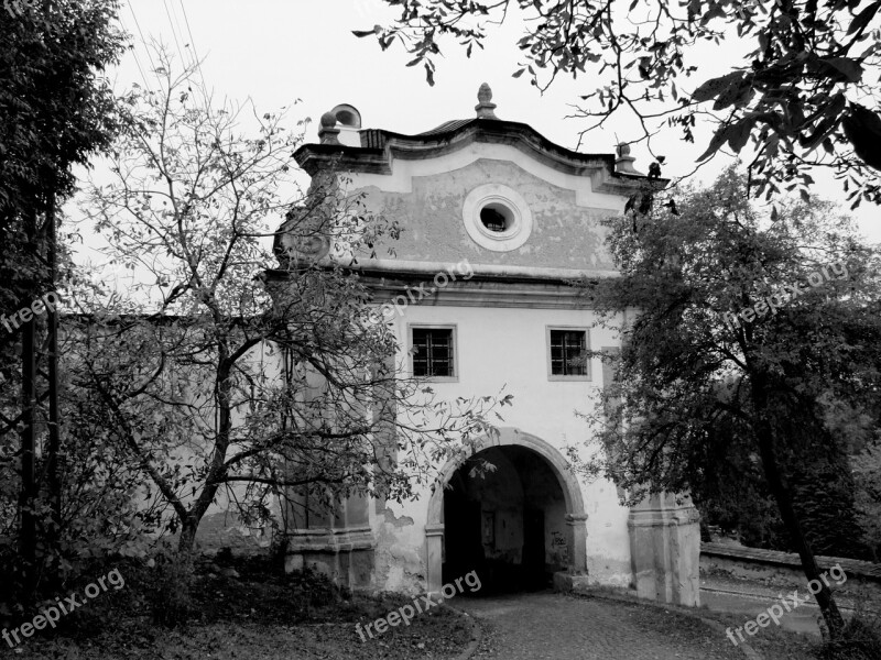 Gate Trees Black And White City Path