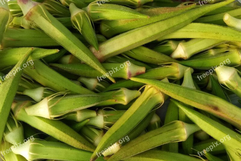 Vegetable Okra Food Garden Free Photos