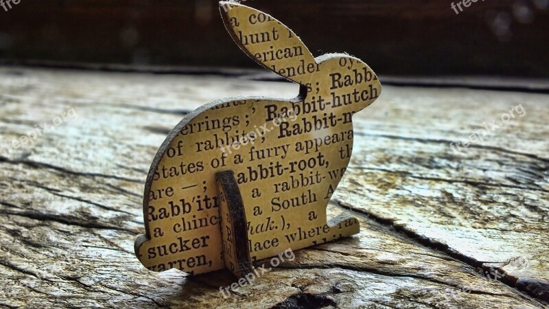 Dictionary Rabbit Words Reflective Thinking