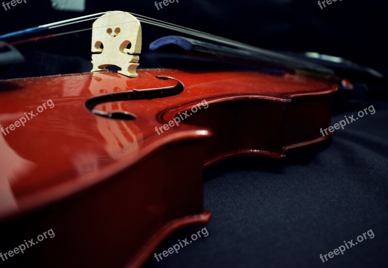 Violin Music Musical Design Musician