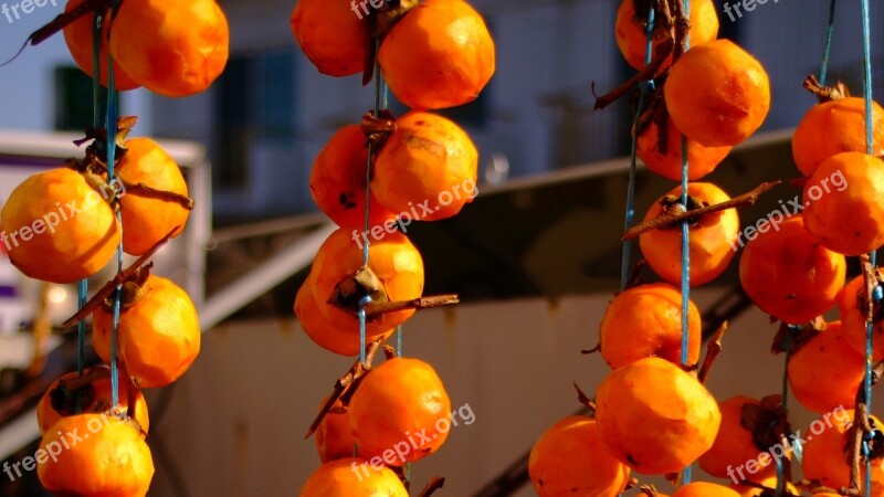 Persimmon Dried Persimmon Fruit Autumn In Autumn