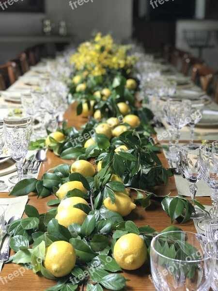 Lunch Lemon Tableset Table Party