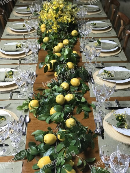 Lunch Lemon Tableset Table Party