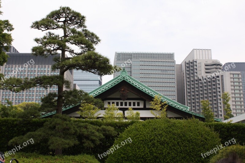 Tokyo Park Garden Tree Free Photos