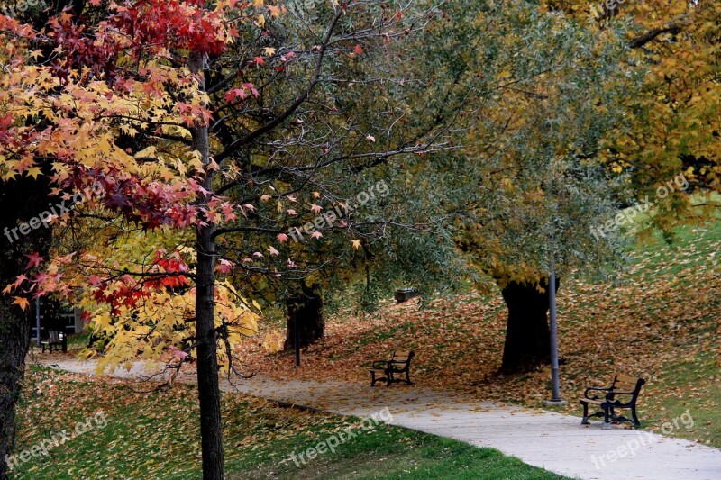 Park Nature Autumn Ankara Trees