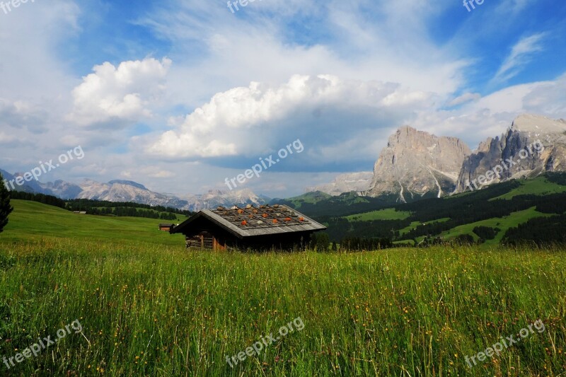 Italy South Tyrol Seiser Alm Alm Alpine