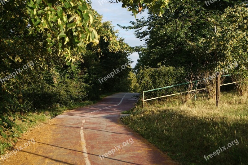 Way Nature Landscape Road Forest