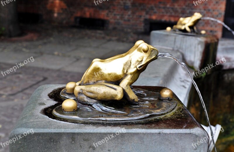 The Frog Sculpture The Art Of Monument Toruń