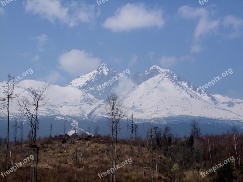 Tatras Mountains Forest Landscape Nature