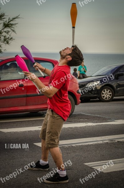 Juggler Juggling Street Artist Traffic Light Mar Del Plata